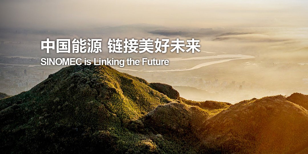 中國能源丨廣東污染防治交流會