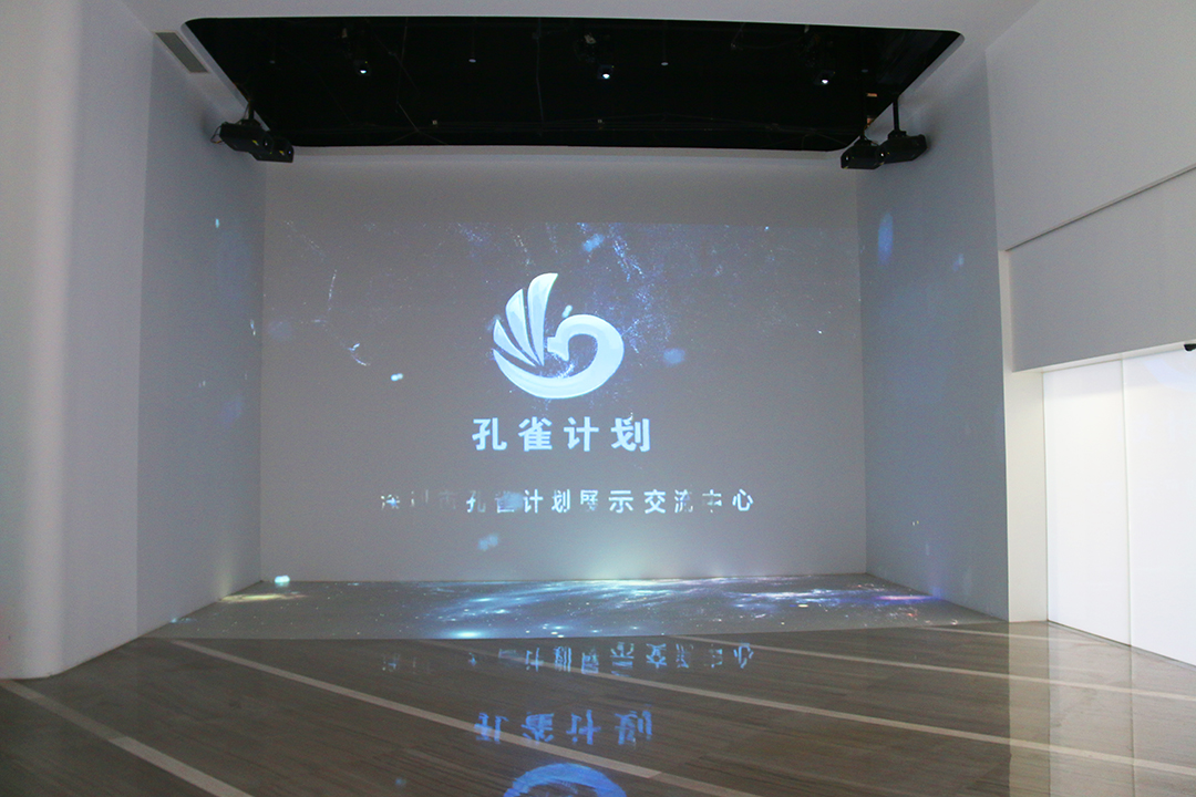 孔雀計劃展示交流中心，助力“人才賦能  助力鵬城”系列活動開展